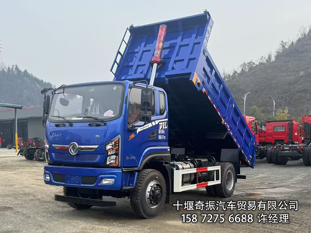 东风牌越野自卸 (星耀蓝)颜色可定制 带参数图片 东风牌DFV3181GP6D2